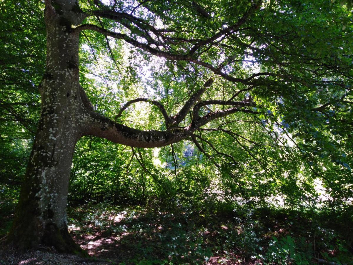 Ferienwohnung Mit Kleinem Garten Sonnenbühl Exterior foto
