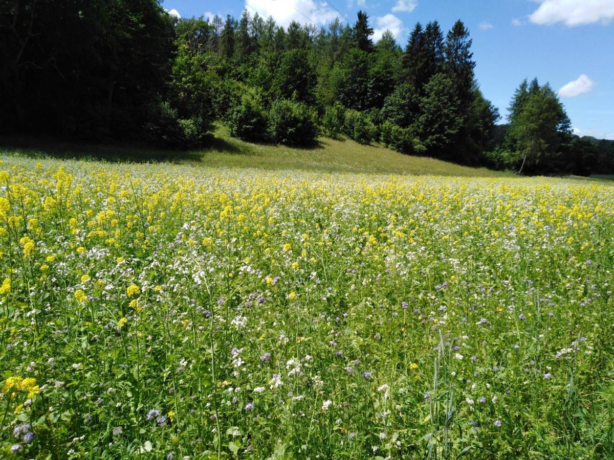 Ferienwohnung Mit Kleinem Garten Sonnenbühl Exterior foto